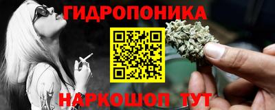 ГАЛЛЮЦИНОГЕННЫЕ ГРИБЫ Гусев