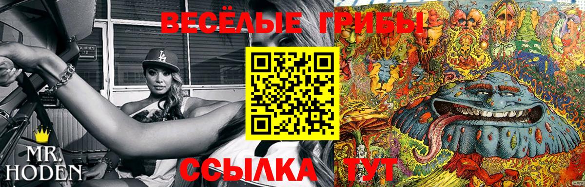 как найти закладки  Псилоцибиновые грибы Cubensis  Псилоцибиновые грибы Psilocybine cubensis  Вход с VPN  Ногинск 
